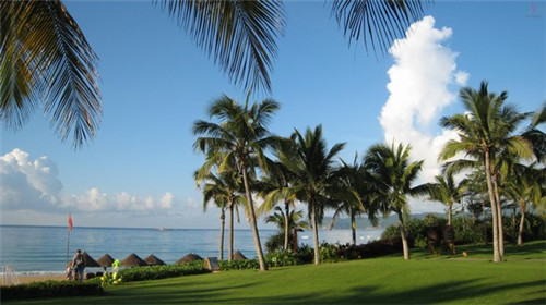 初花日本料理加盟毛利有多少，怎么加盟初花日本料理开店