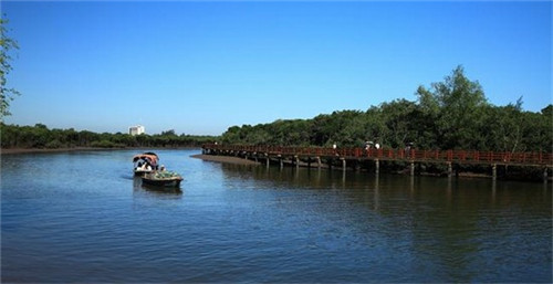 小敏家旧时光是什么歌（小敏家原著在线）