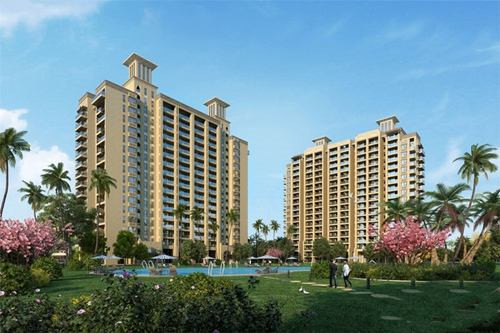 辣炒八爪鱼做法大全（辣炒八爪鱼做法大全图片）